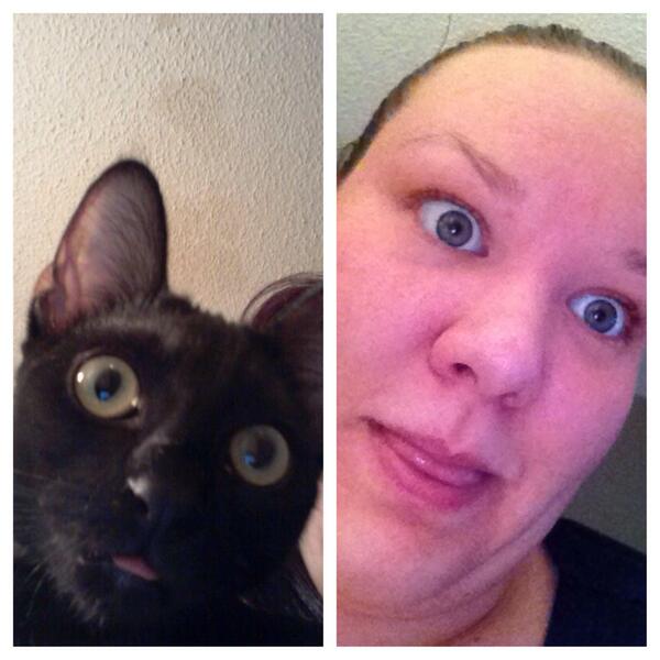 kelciepessolano's tweet photo. my cat is so ugly sometimes, and so is my best friend 🙊😂 http://t.co/NN6mBBKtTe