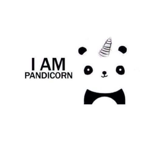 DOMENICOPATTI22's tweet image. #rt seguimi e ti seguo perché &quot;I AM A PANDICORN&quot; 🍦 🍦 🍦 #pandicorn