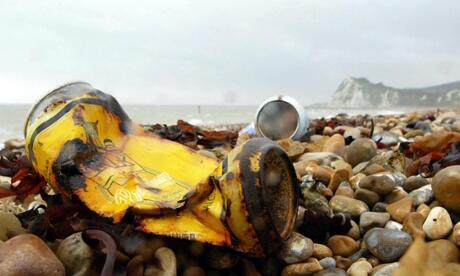Seasaver tweet picture