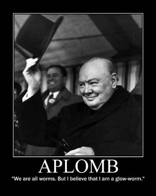 EnglishGirona's tweet image. Word of the Day: Aplomb (n) self-confidence or assurance, poise. #english #wordoftheday #ProofreadingChecklist