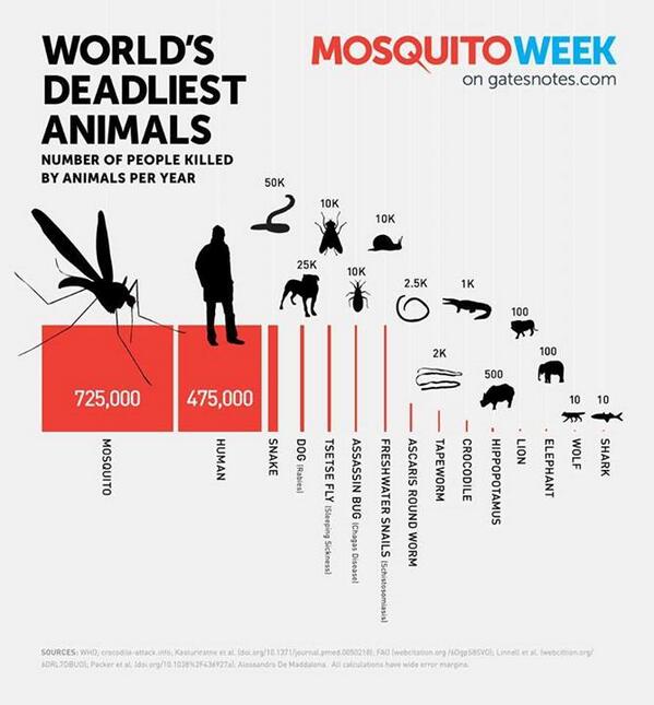 TriviaManiaPH's tweet photo. Mosquitoes are responsible for 725,000 humans deaths worldwide every year thanks to the deadly diseases they carry. http://t.co/kiGUQg9RX8