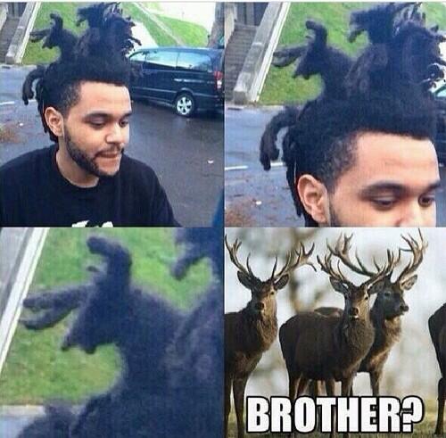 DoraaOffical's tweet photo. 😂🎧❓#theweeknd http://t.co/daSCLFPz6D