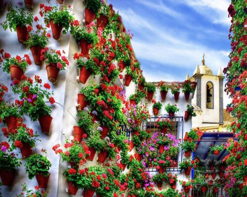 PortalCofrade's tweet photo. Mayo en Córdoba http://t.co/PDcAX7tUer