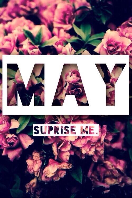 "<a href="/MeLevenInFotos/">#MELEVENINFOTOS ∞</a>: Suprise me! "