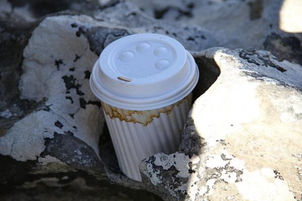 Cape nature coffee holders