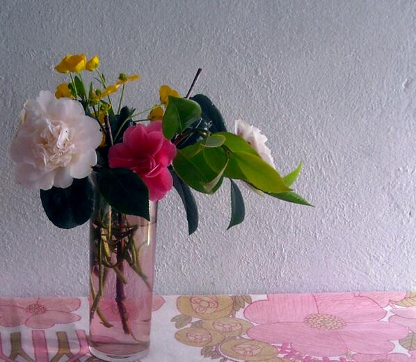 balba_abel's tweet photo. vamos #primavera vamosssssssssss!!!! http://t.co/HgxSuxuWZV