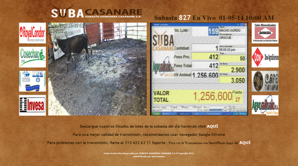 Subacasanare's tweet photo. En transcurso, Subasta 827... http://t.co/BpsmRDt7Q3