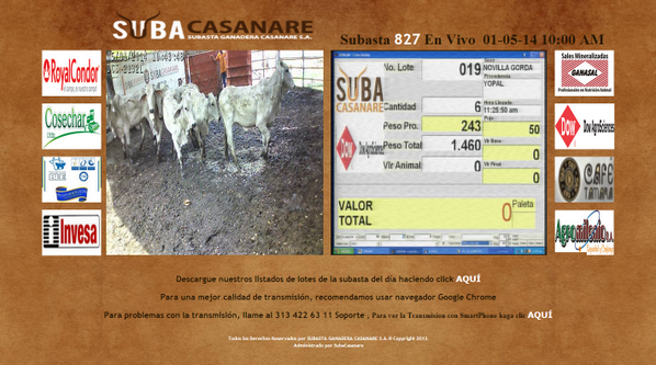 Subacasanare's tweet photo. Más de nuestra subasta del día... http://t.co/4hNTWpCJWu