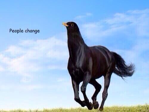 xFour20HD's tweet image. Rt if ur inspird