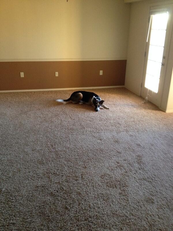 Owen Elger tweet media