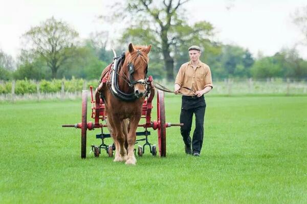 😃 <a href="/Mayfields_Farm/">Mayfields Farm</a>: Beautiful photo of Gateridge Duke at @CRTBarton's Festival on Saturday! Thank you Julian Eales 🐴"