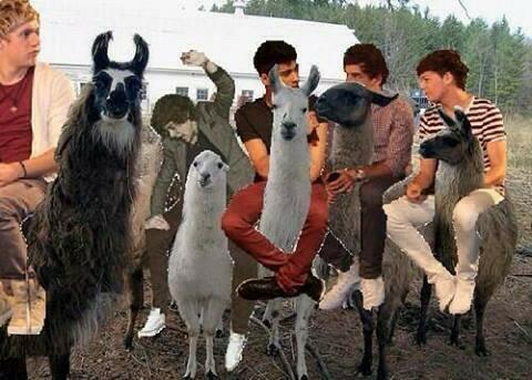 valeriartmz's tweet image. #HarryIsPeruvian #NiallIsPeruvian #ZaynIsPeruvian #LiamIsPeruvian #LouisIsPeruvian  !!! HAHAHA! No puedo más!