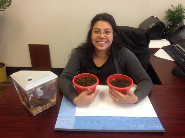 JimmyThompsonSF's tweet image. Today we celebrate the 2 year anniversary of Katy working in our office! We are so grateful for all if her hard work!