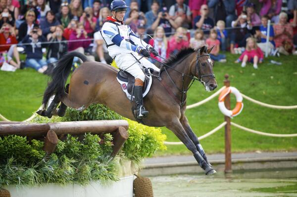 FEI_Global's tweet photo. Stop Press: William Fox-Pitt is world #Eventing no 1 http://t.co/GAQ7qSWWxD @Olympics @TeamGBR @TeamGB @bhorsetrials http://t.co/TLXzhCz8I3
