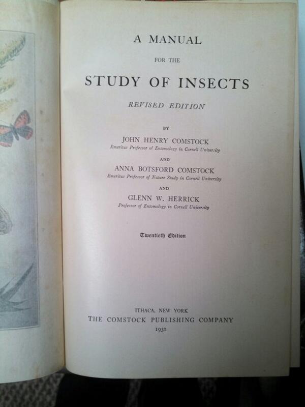 taiseybug's tweet image. I picked up this classic #bugbook for $2. In the eyes of the beholder... Comstock is way more valuable to me.