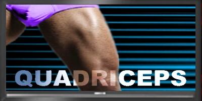 ASNLondon's tweet image. #QUADRICEPS 
80%+ of athletes have tight #Quads not realising it causes Groin &amp;amp; Leg injuries.
#PersonalMaintenance