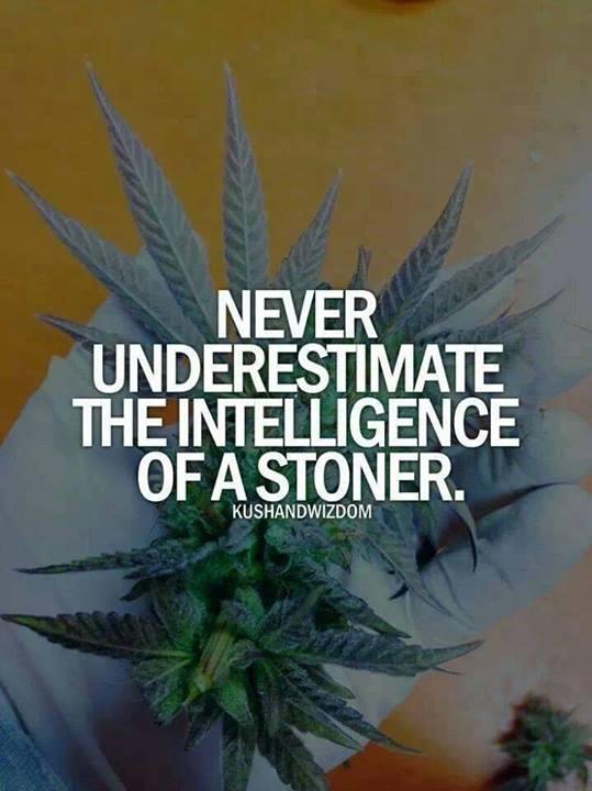 420MauiWaui tweet picture