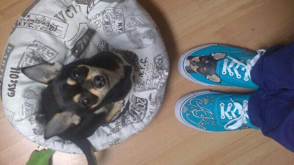 Nuria ya ha estrenado sus zapas con su perrita Aki!! las teneis a las 2 en esta fotaza =D regalo d @rafaaguilarrod