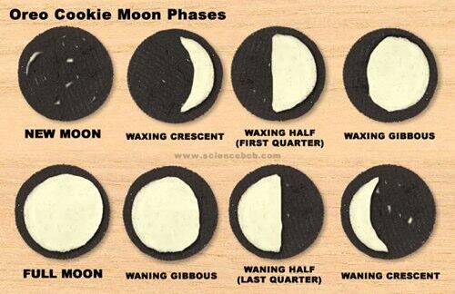 TeachingIdeas's tweet photo. Teach the phases of the moon using cookies... Yum! See more at http://t.co/7PsxIHr4jf http://t.co/RSKmGYcIOU