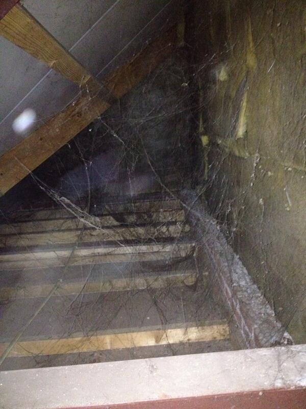 basvanderstaak's tweet photo. en weer klaar met beunen #tijdomtedouche http://t.co/GLFNqmbkrj