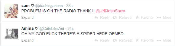 arianagrammy's tweet image. 2 types of Arianators #BuyProblemOniTunes #WatchProblemLyricVideo