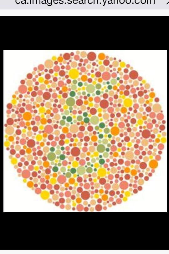 Dr. Adam McLeod tweet media