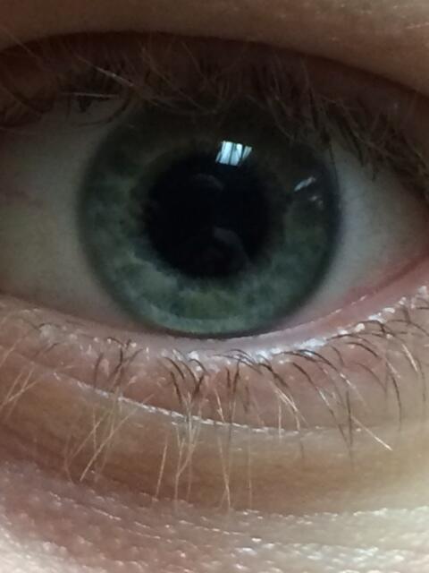 PierreSavard3's tweet photo. #jterre #CECCE http://t.co/kLqOmaWLH7