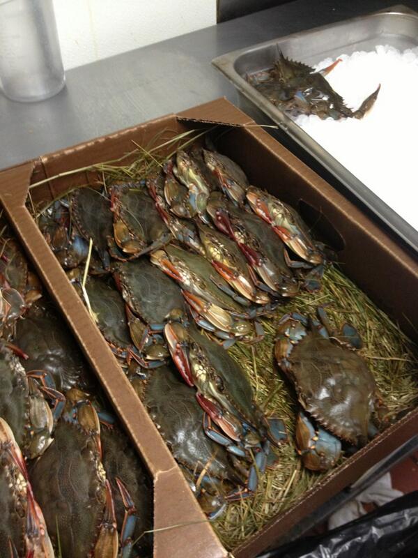 Most wonderful time of the year! Or at least one of