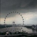Photo by Pan Pacific Singapore (@PanPacificSGP)