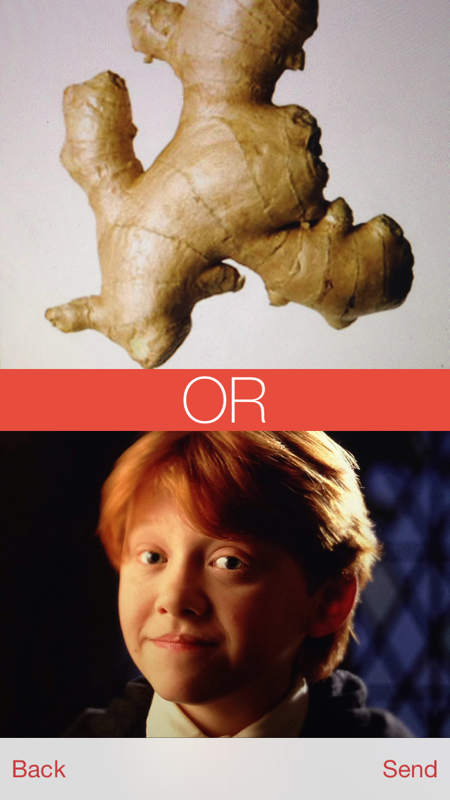 trypoptome's tweet image. Which ginger?
#questionoftheday #poptome