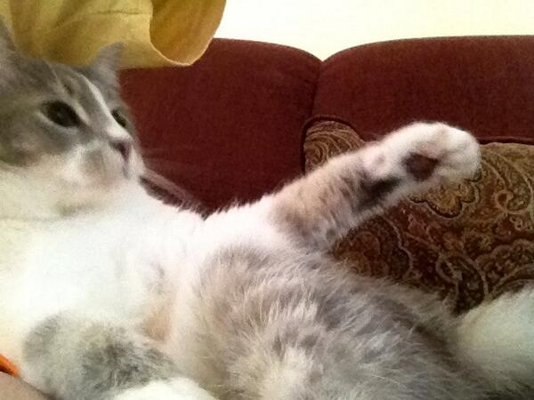 Elphabutt's tweet photo. #ThrowbackThursday http://t.co/96AKvqsXdF