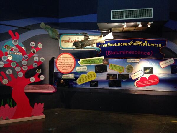 Patchanon's tweet photo. ไม่ใช่แค่เพียงมีปลาหลายหลายให้ชมแต่ภายในยังมีสิ่งที่ให้ความรู้อีกมากมายเช่นกัน http://t.co/z4brvHlD2A