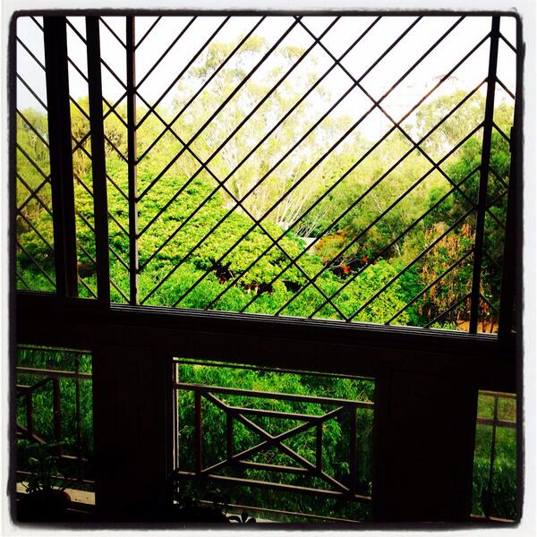 #100happydays #greenbalcony #green #balcony #homesweethome