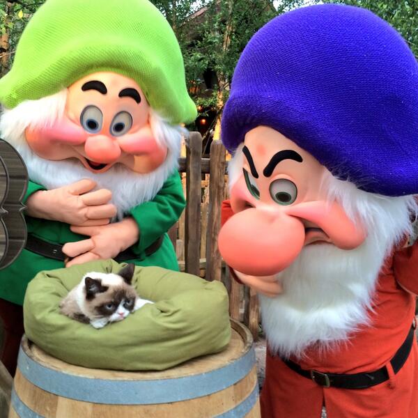 RealGrumpyCat's tweet image. Two Grumpys. One Happy.  @WaltDisneyWorld. #MinersWanted #GrumpyCat #DisneySide