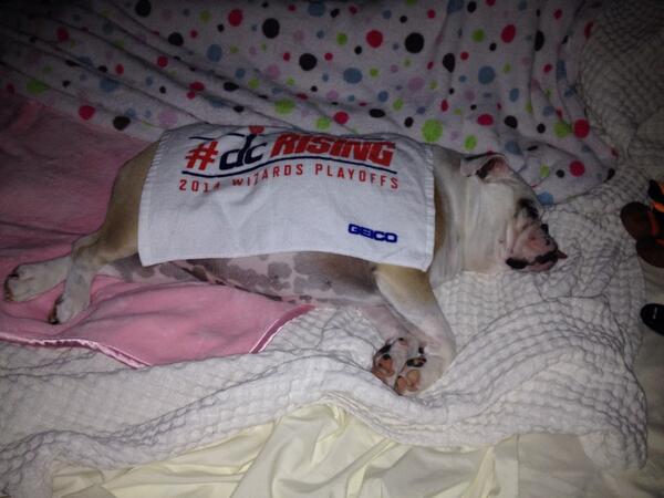Someone's tired of waiting for the hawks or pacers <a href="/WashWizards/">Washington Wizards</a> #dcRising <a href="/JillKavalsky/">Jill Kavalsky</a> #Wizards