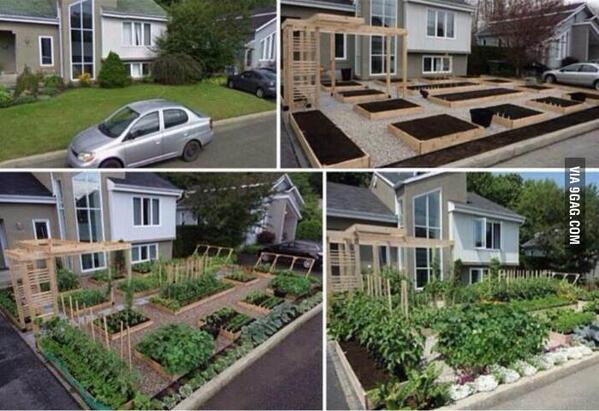 tandoganisliel's tweet photo. #Grow #Food, Not a Lawn #GrowFood http://t.co/L4RGj8U6HL via @9GAG http://t.co/2eecxJJ9VZ