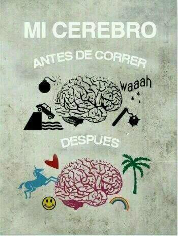 madridrunningco's tweet photo. Mi cerebro antes de #correr y después :) http://t.co/IYTlMGa5zq