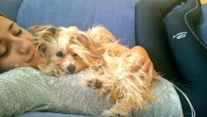 MaGaldon's tweet photo. Que cómodas! http://t.co/SNsHhK2CUo