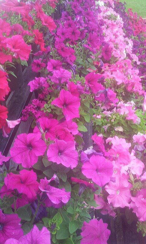 ssaravanan245's tweet photo. Hv a great day friends... http://t.co/itHk0rEkuN