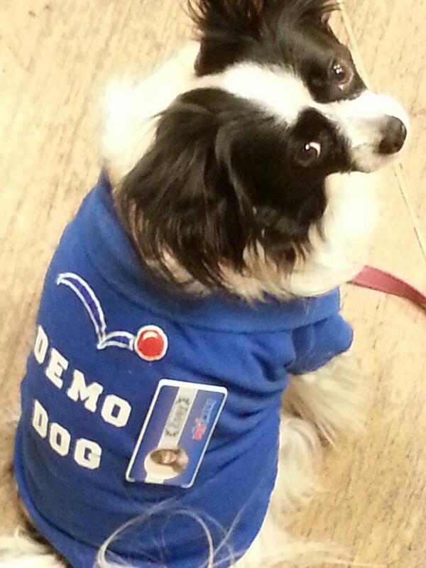 PetSmart 0190 Hurst tweet media