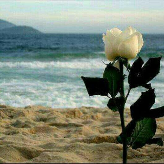 Al33806433's tweet image. @kalid_a 
سلامتك اخوي خالد ..ماتشوف شر..
دمت بعافيه.
.