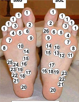 Akapunktur noktaları :)