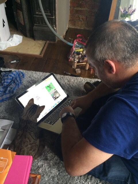 Graham The Kitten tweet media