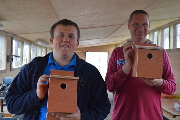KehellandTrust's tweet photo. Friday woodwork workshops... lucky birds. http://t.co/HpSaDZVByK