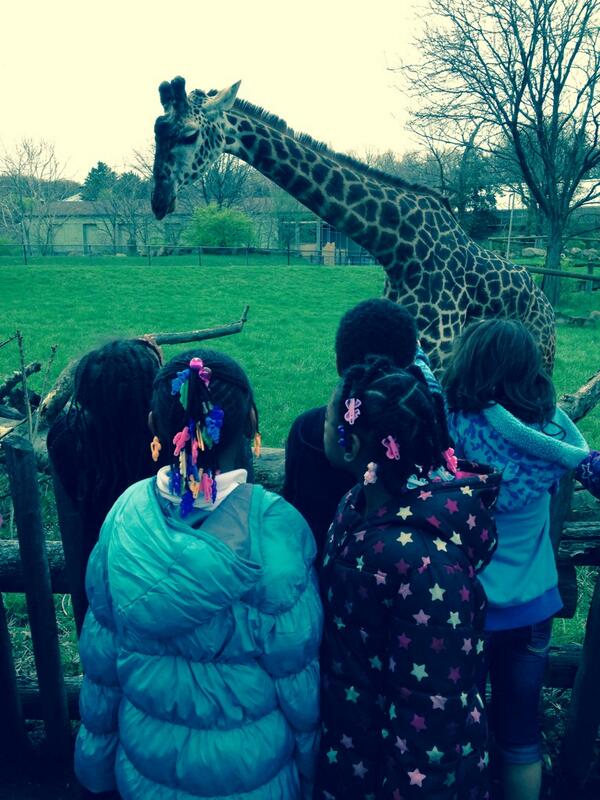 WaverlyCMSD's tweet photo. First graders up close with a giraffe at the zoo. http://t.co/ZSJOukW6if