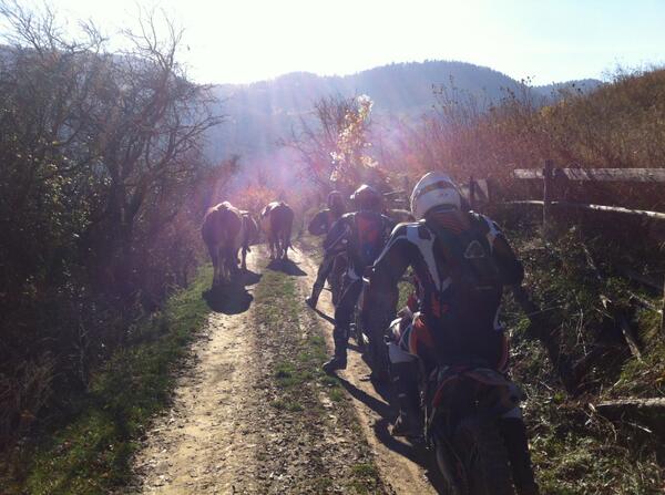 EnduroVillager tweet picture
