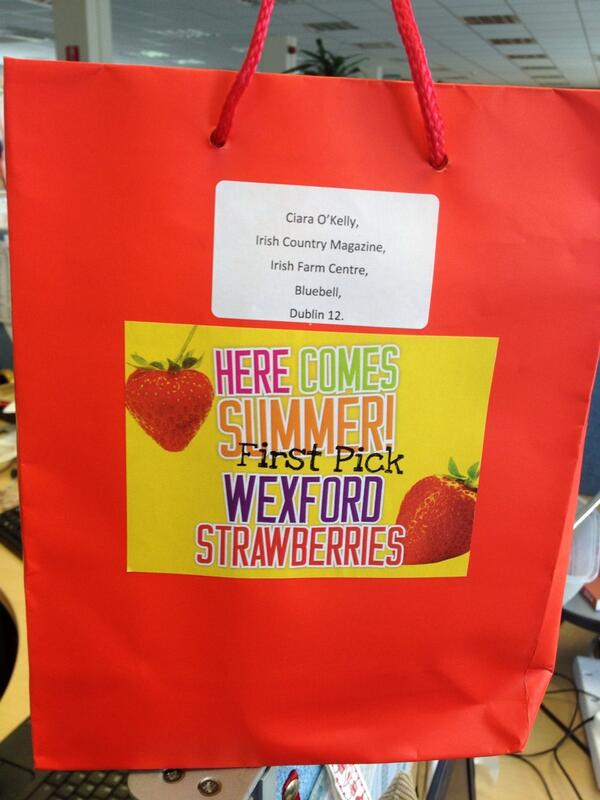 CiaraOKelly1's tweet photo. Yay!!! Summer is here #wexfordstrawberries #firstpick http://t.co/tJZZr38hGn