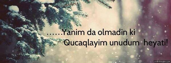 muradcc tweet picture