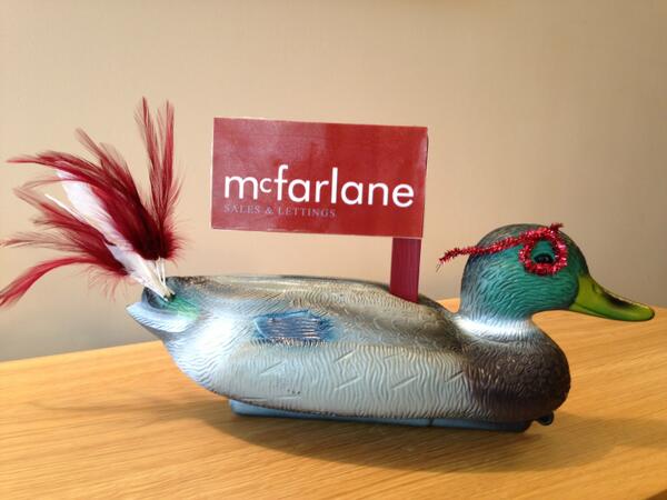 Meet 'Magnus' - newest member of the team. He's getting ready for this years annual duck race in Wroughton.