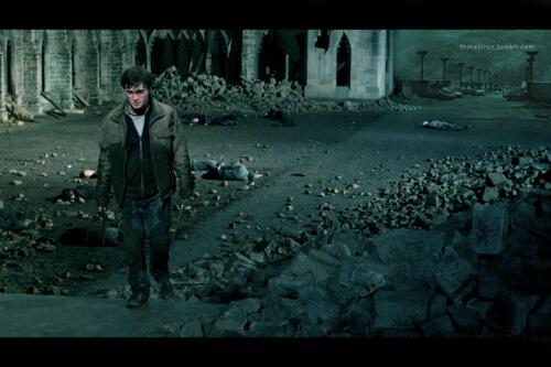 HPotterUniverse's tweet photo. There would be many casualties, but in the end Harry defeated Voldemort, and good defeated evil. #BattleofHogwarts http://t.co/0FuURK88IY